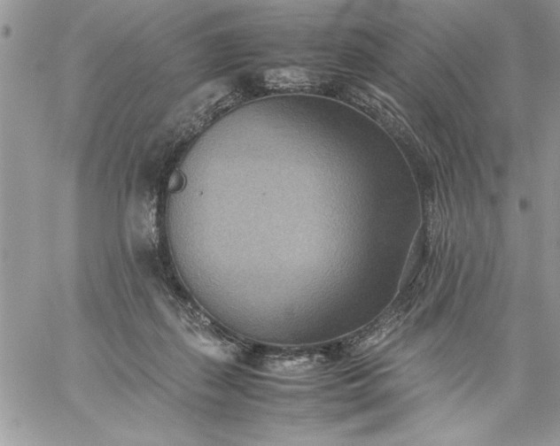 X0000059090267200510172102