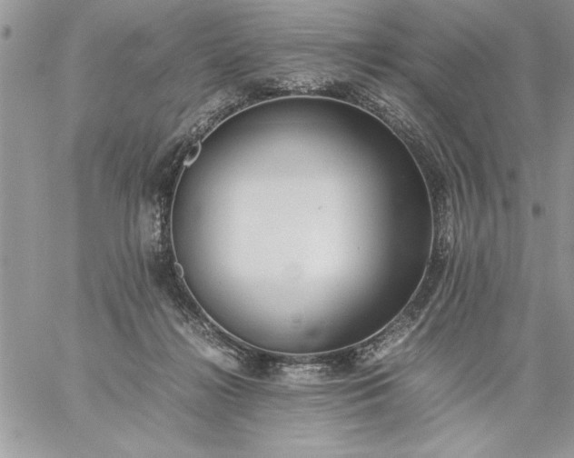 X0000059090268200510172102