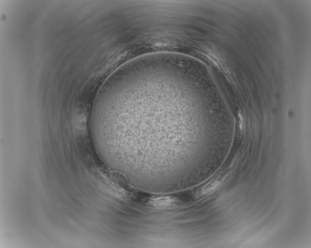 X0000059090269200510172102