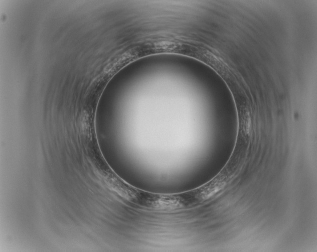 X0000059090270200510172102