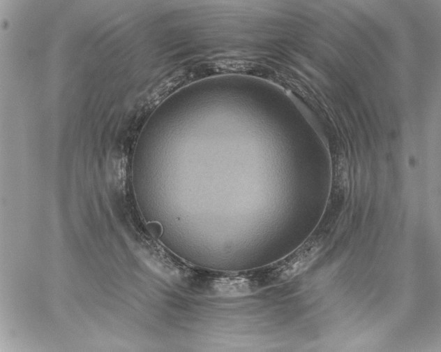 X0000059090271200510172102