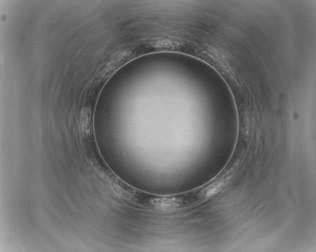 X0000059090273200510172102