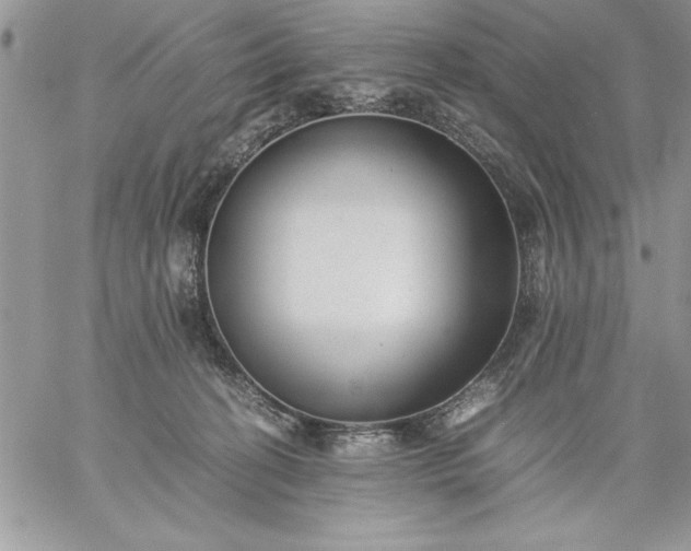 X0000059090274200510172102