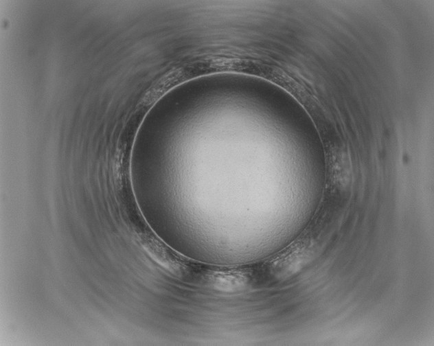 X0000059090275200510172102