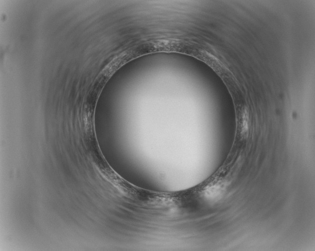 X0000059090276200510172102