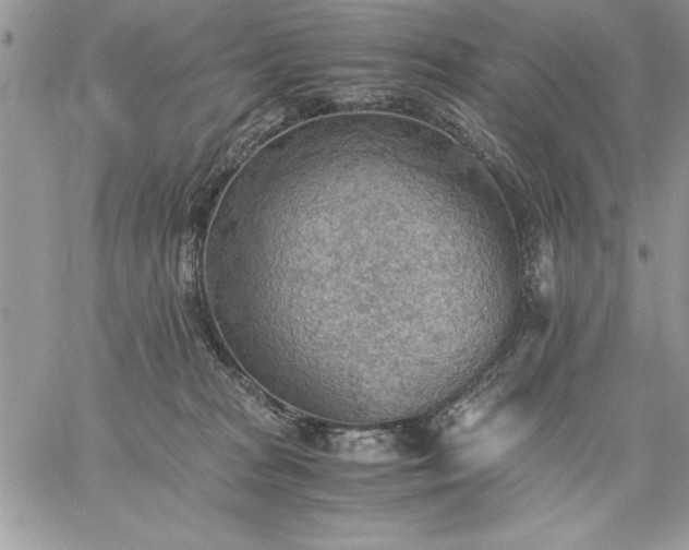 X0000059090277200510172102