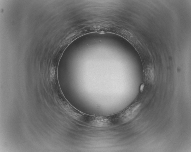 X0000059090278200510172102