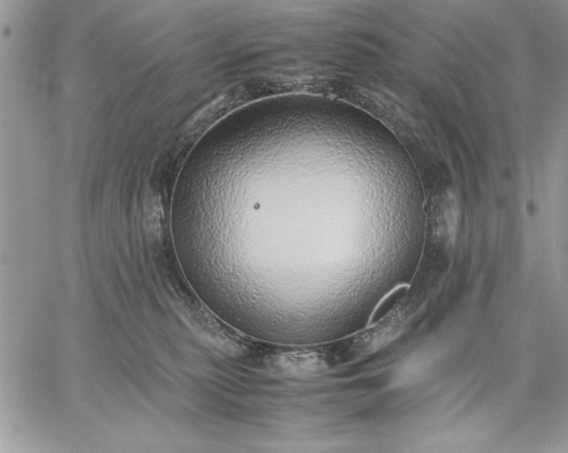 X0000059090279200510172102