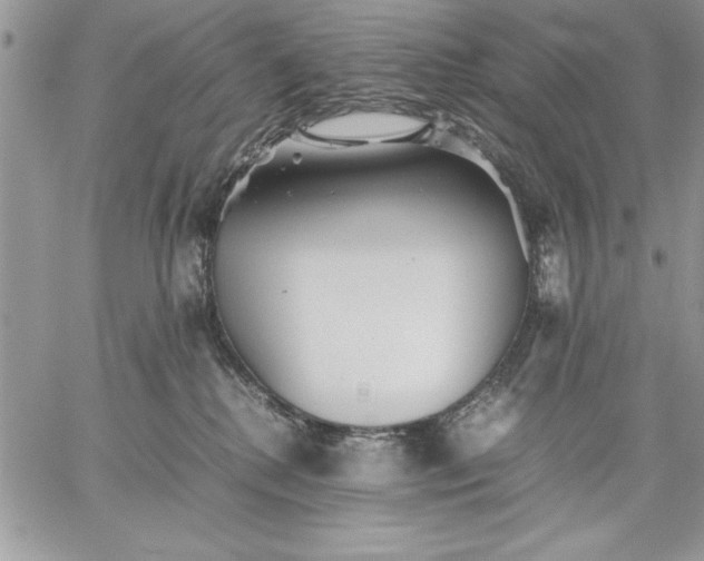 X0000059090280200510172102