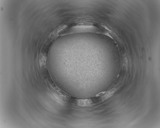 X0000059090281200510172102