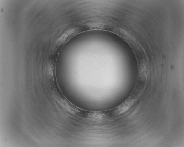 X0000059090282200510172102