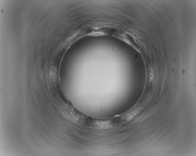 X0000059090283200510172102