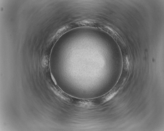 X0000059090284200510172102