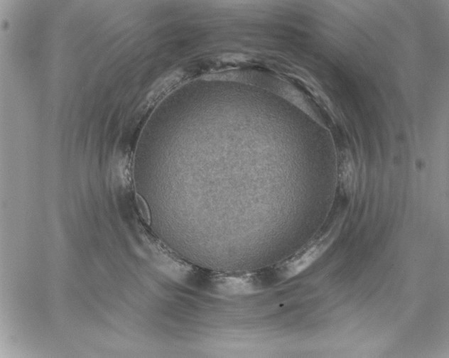 X0000059090285200510172102