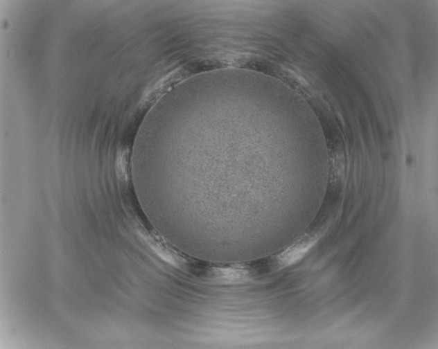 X0000059090286200510172102