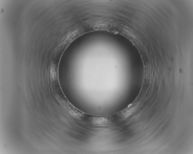 X0000059090287200510172102