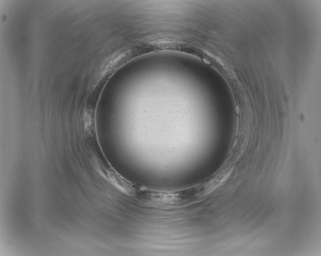 X0000059090288200510172102