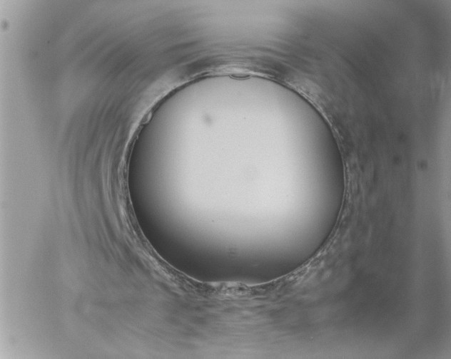 X0000059090289200510172102