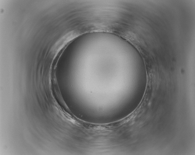 X0000059090290200510172102