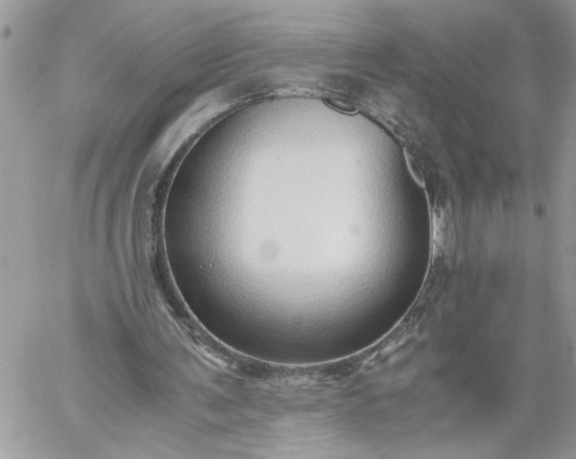 X0000059090291200510172102