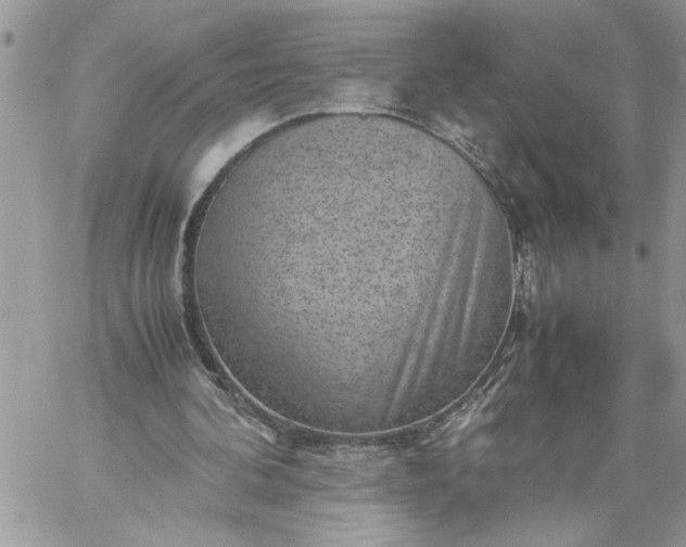 X0000059090292200510172102