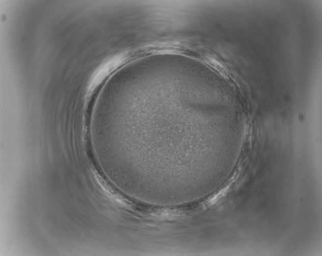 X0000059090293200510172101