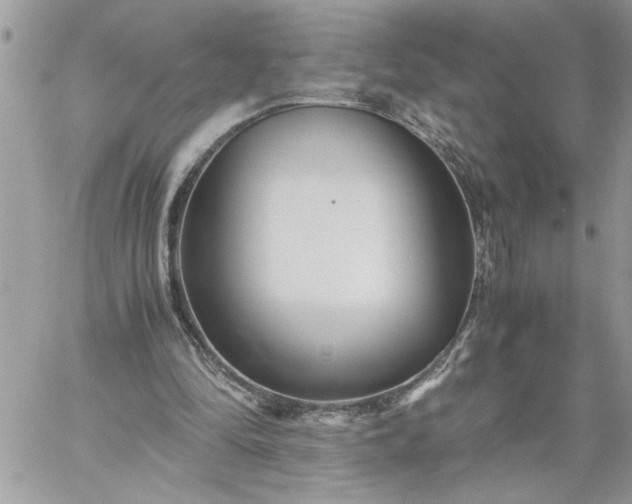 X0000059090294200510172101