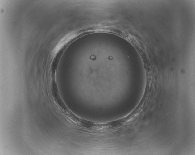 X0000059090295200510172101