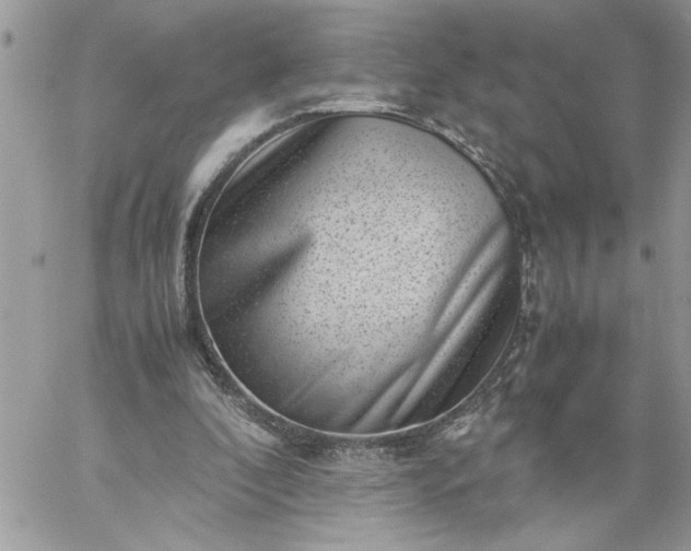 X0000059090296200510172101