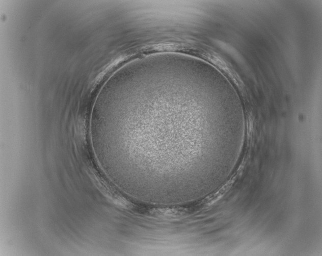 X0000059090297200510172101