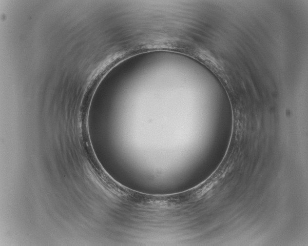 X0000059090298200510172101