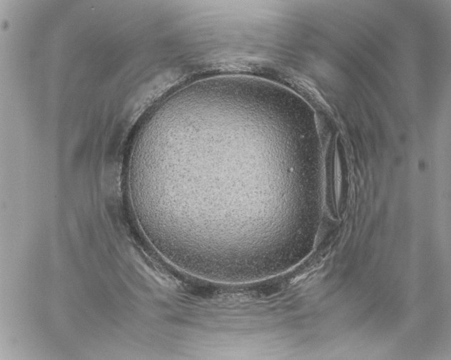 X0000059090299200510172101