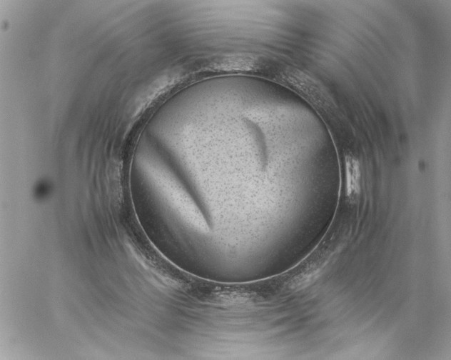 X0000059090300200510172101