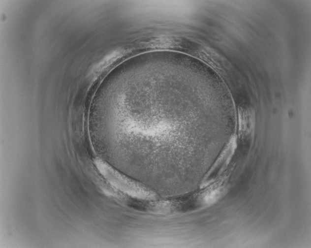 X0000059090301200510172101