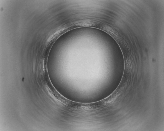 X0000059090302200510172101