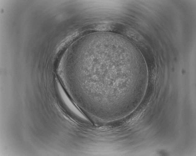 X0000059090303200510172101