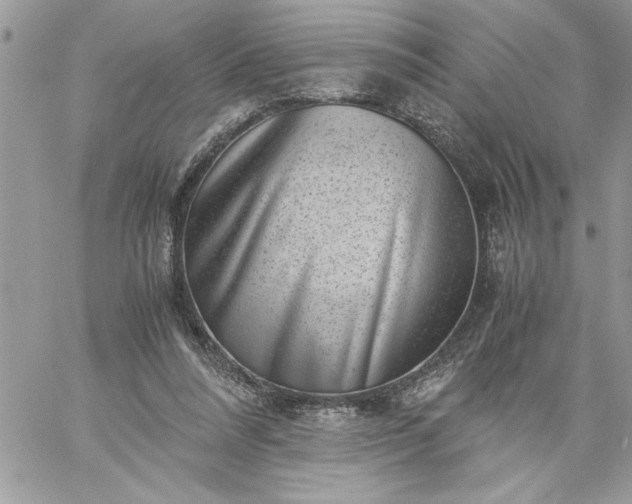 X0000059090304200510172101