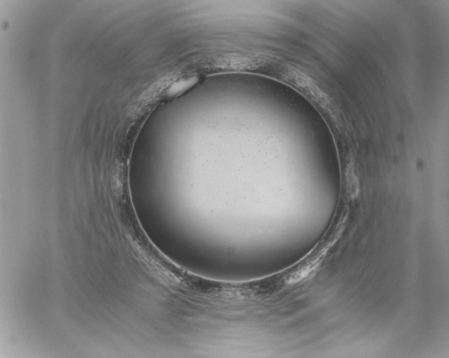 X0000059090305200510172101