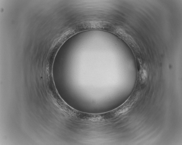 X0000059090306200510172101