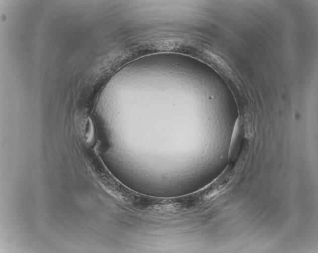 X0000059090307200510172101