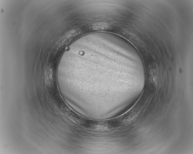 X0000059090308200510172101