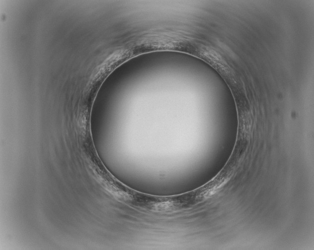 X0000059090309200510172101