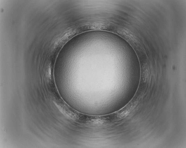 X0000059090310200510172101