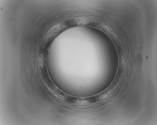 X0000059090311200510172101