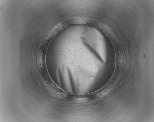 X0000059090312200510172101