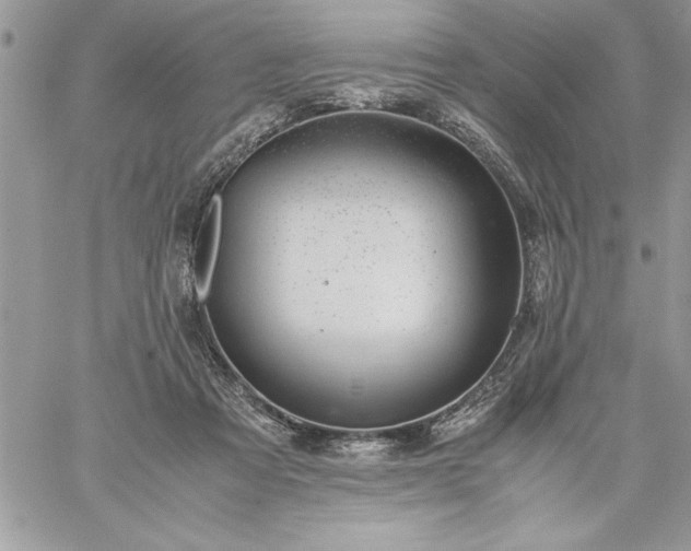 X0000059090313200510172101