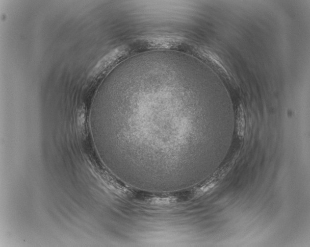 X0000059090314200510172101