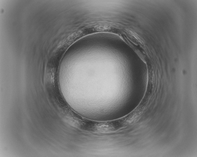 X0000059090315200510172101