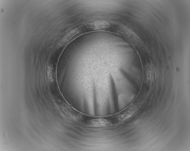 X0000059090316200510172101