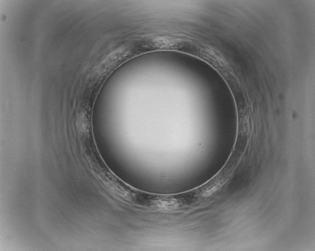 X0000059090317200510172101